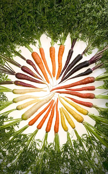 File:Carrots of many colors.jpg